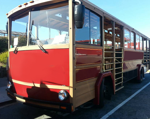 23座纯电动观光车入园路试